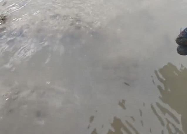 海鮮污泥