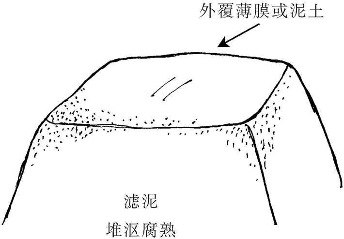 濾泥